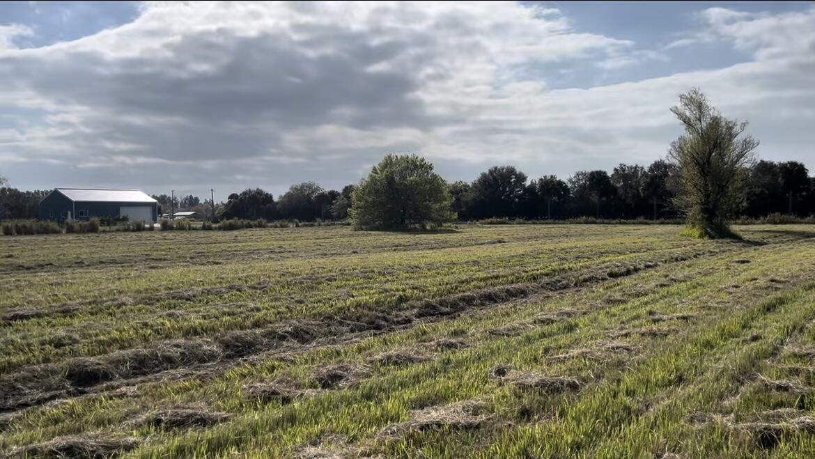 1503 South Header Canal Road Fort Pierce, FL 34945 - Photo 4 of 11 beyc688287bb3a13f