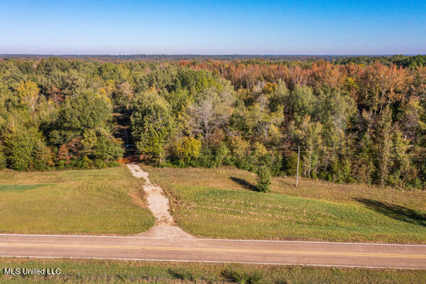 11880 Fairview Road Byhalia, MS 38611 - Photo 4 of 10 11880-Fairview-Road-04