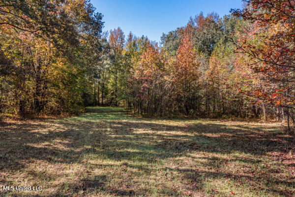11880 Fairview Road Byhalia, MS 38611 - Photo 5 of 10 11880-Fairview-Road-05