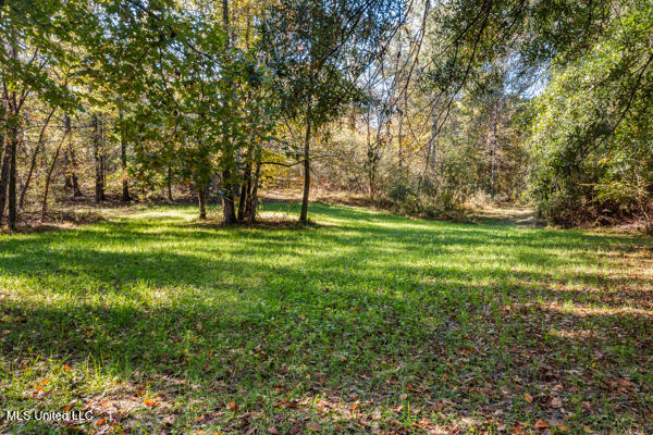 11880 Fairview Road Byhalia, MS 38611 - Photo 9 of 10 11880-Fairview-Road-09