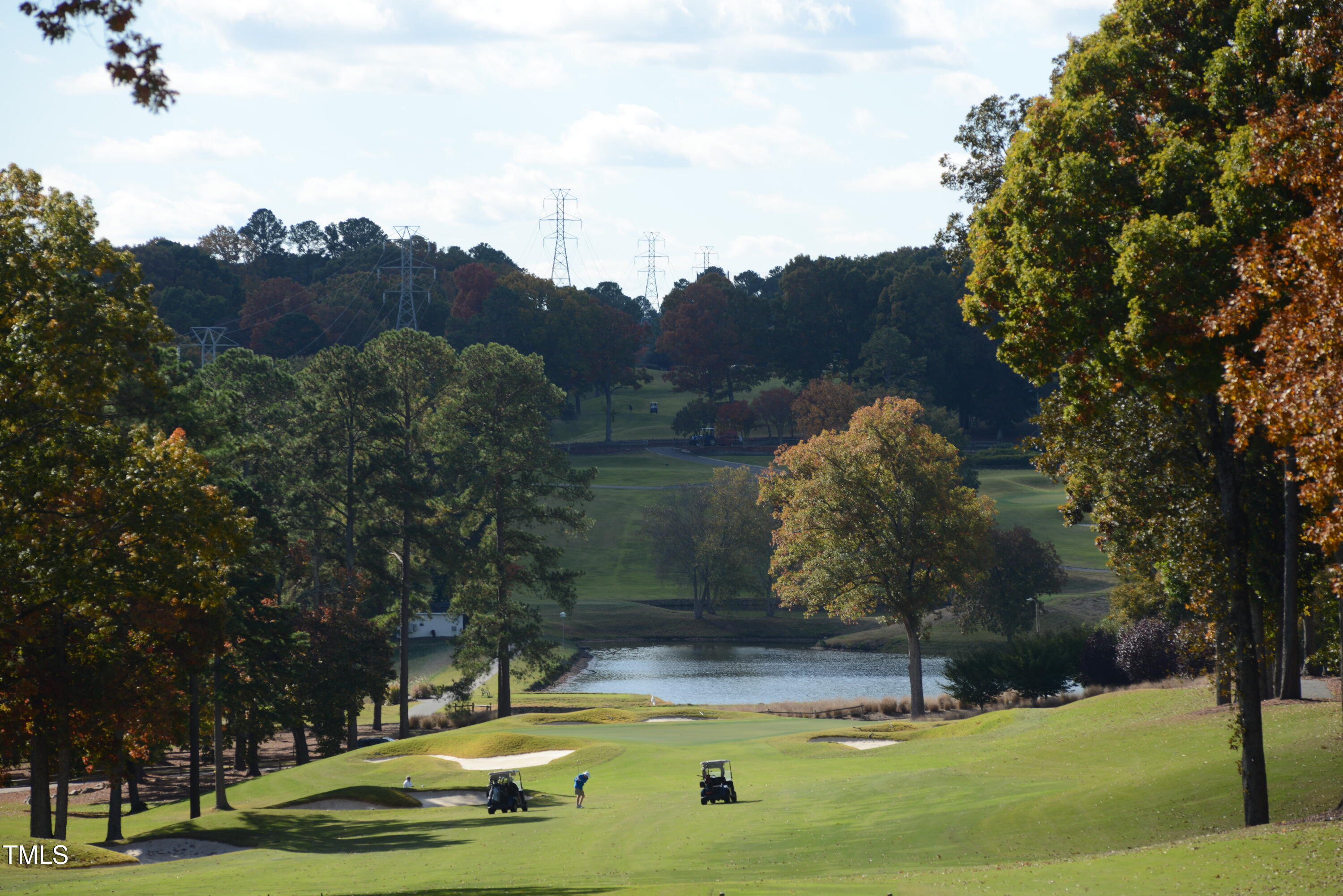1216 Barcroft Place Raleigh, NC 27615 - Photo 87 of 91 NRCC Course Beauty