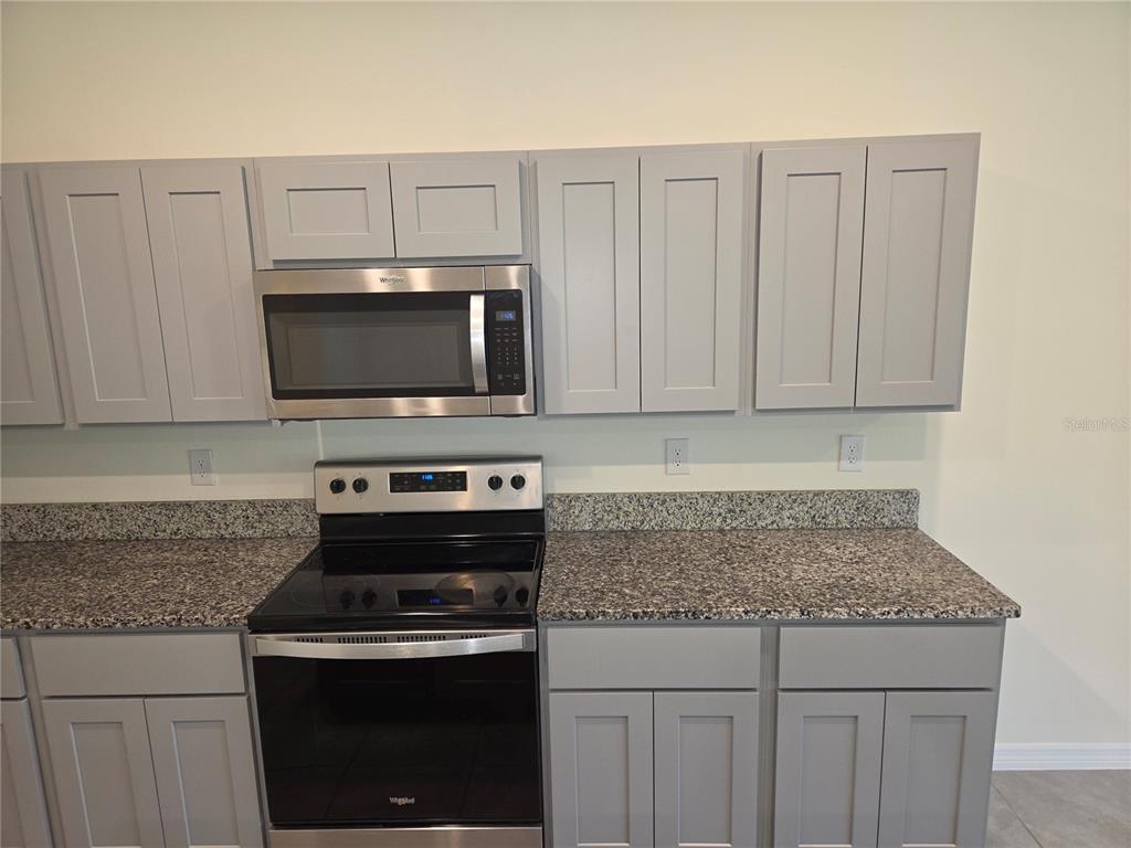 32181 Turtle Grace Loop Wesley Chapel, FL 33545 - Photo 11 of 37 Gallery Image 11