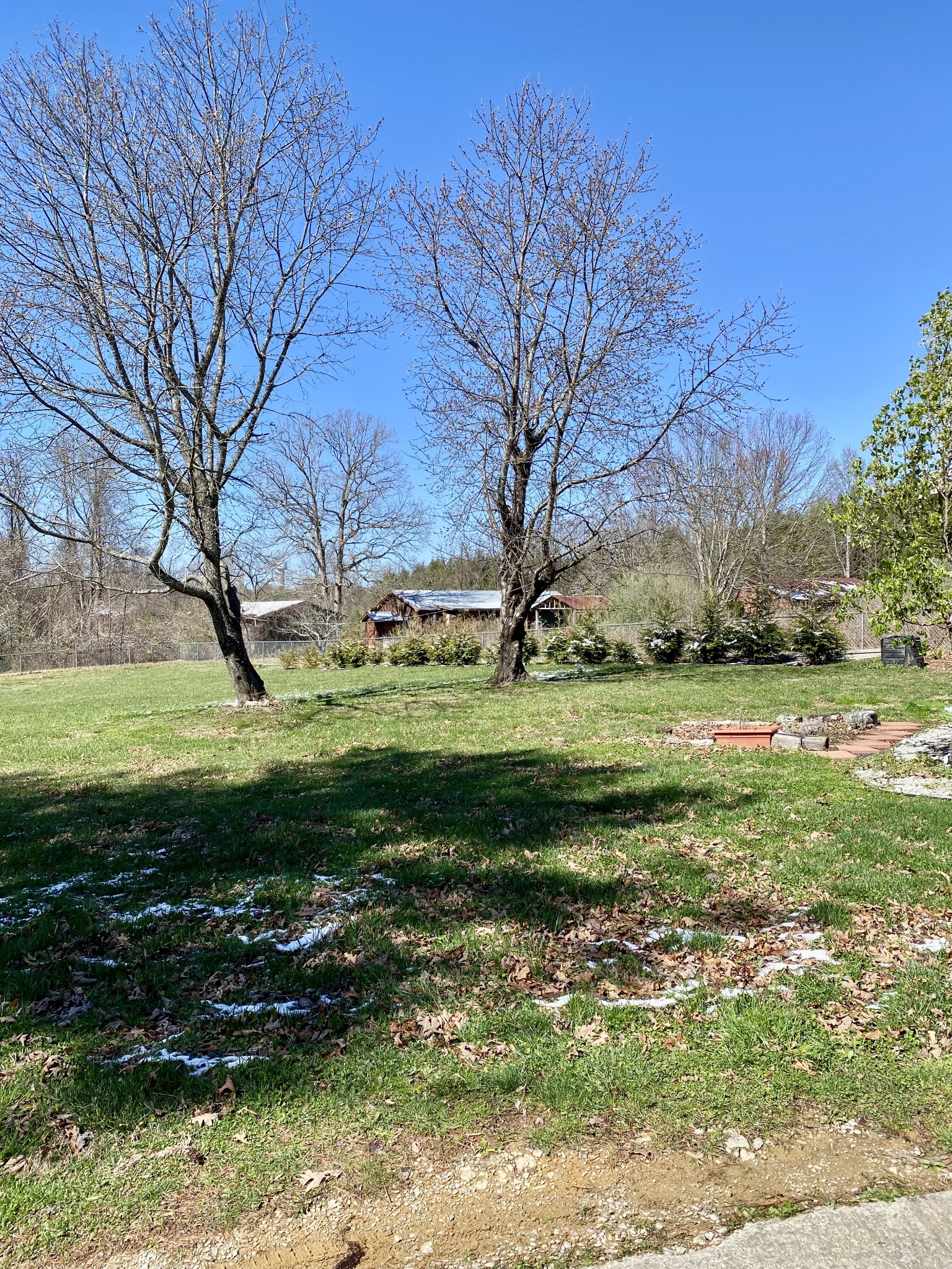 164 Rattlesnake Road McMinnville, TN 37110 - Photo 42 of 45 a backyard of a house with a yard and outdoor seating