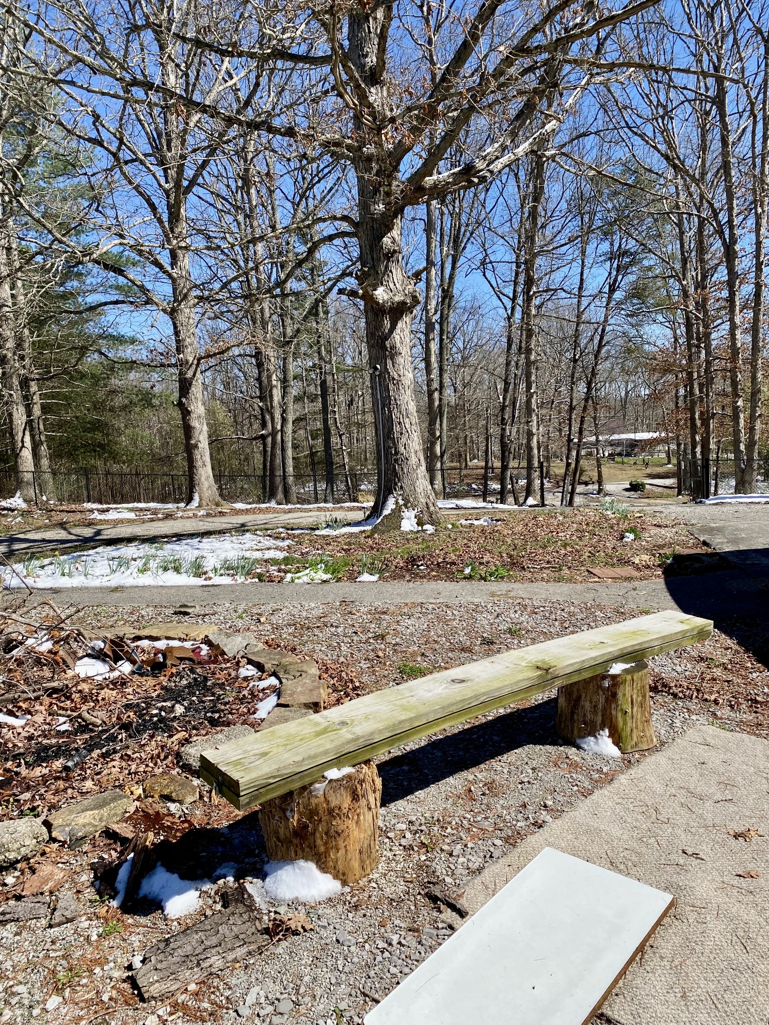 164 Rattlesnake Road McMinnville, TN 37110 - Photo 6 of 45 a view of a yard with snow