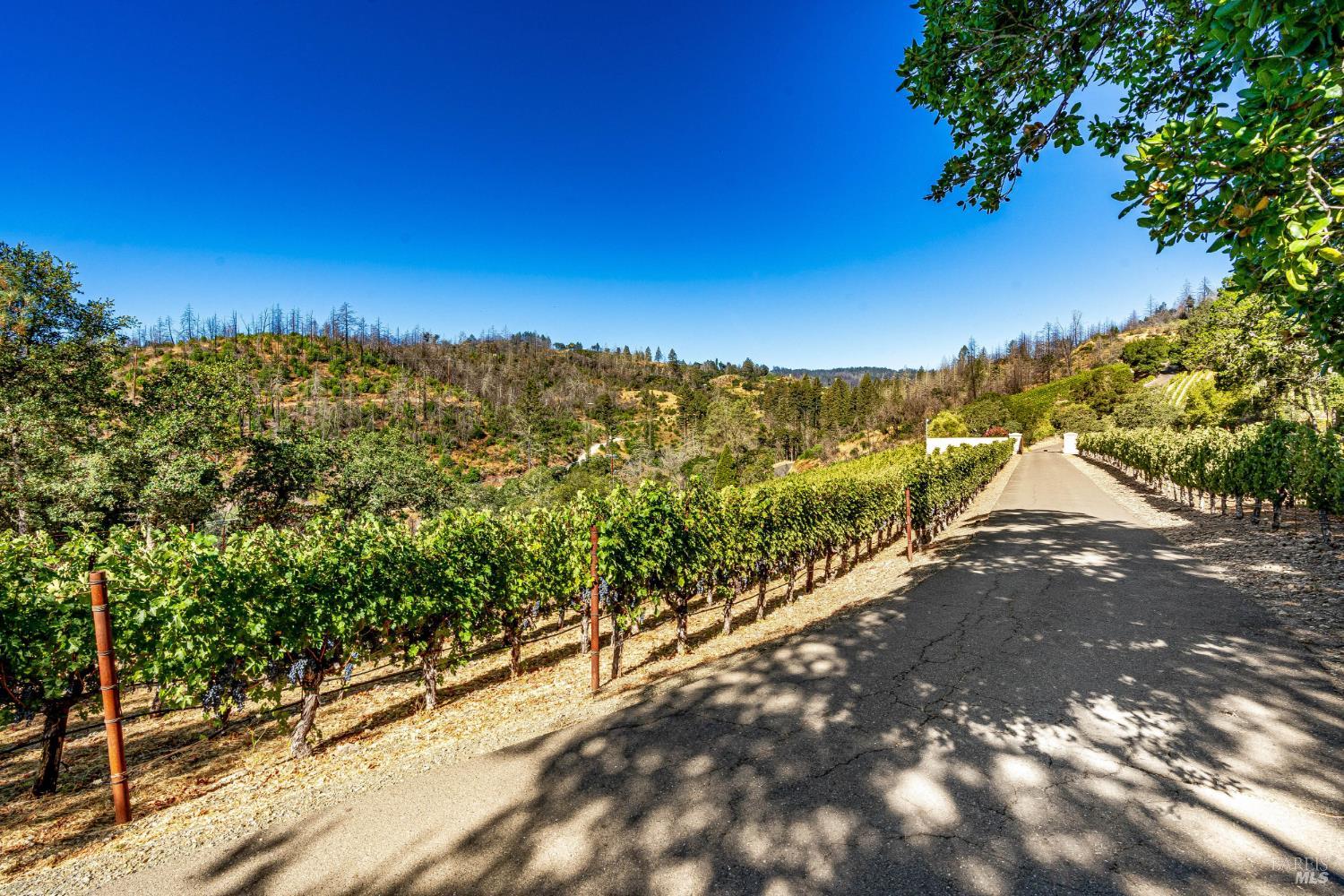 2910 Spring Mountain Road St. Helena, CA 94574 - Photo 7 of 8