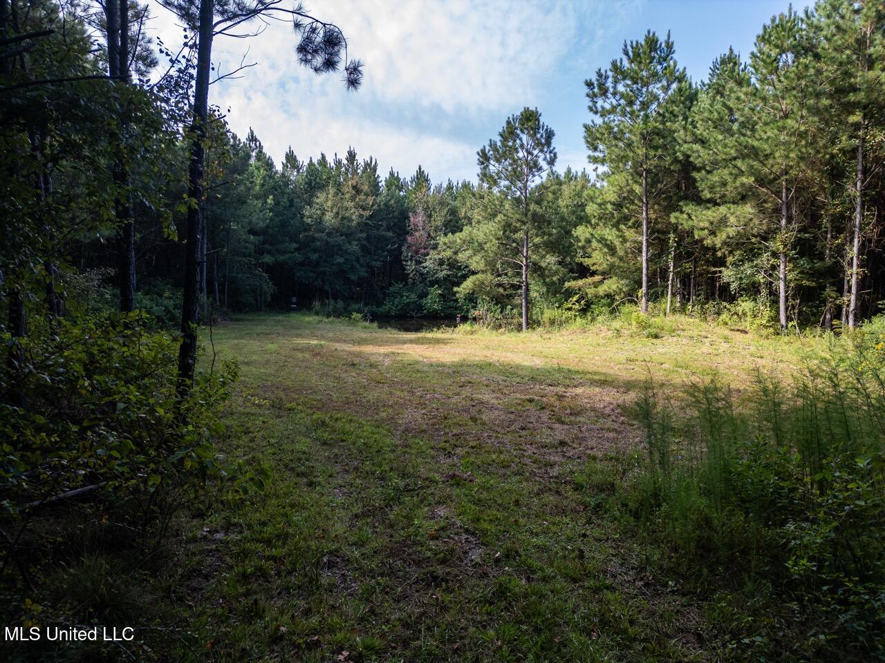 4069 Dixie Garden Road Wesson, MS 39191 - Photo 1 of 45 DJI_0494 Large