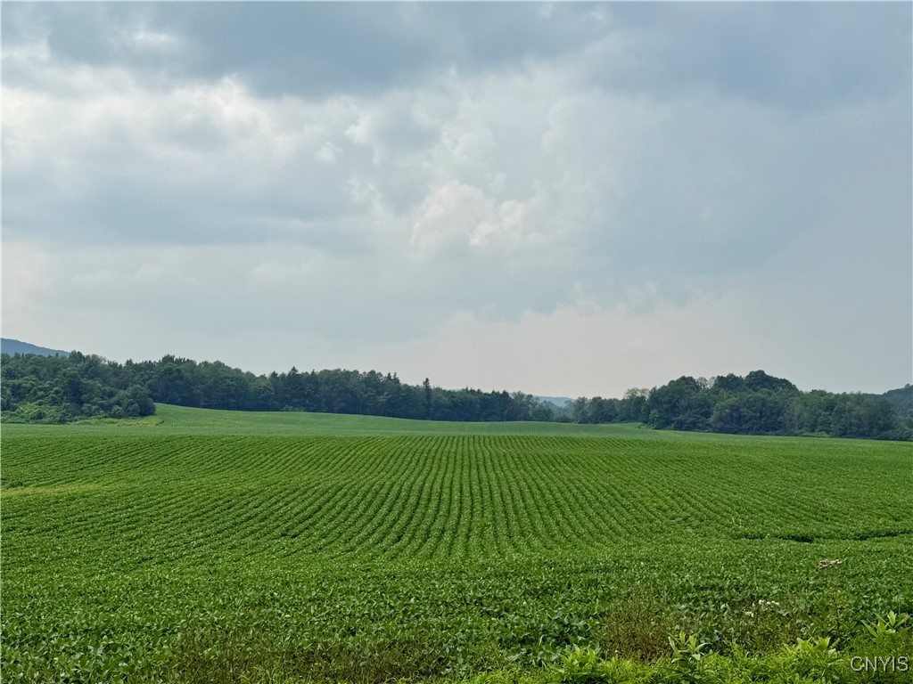 2026 Reservoir Road Paris, NY 13322 - Photo 32 of 39