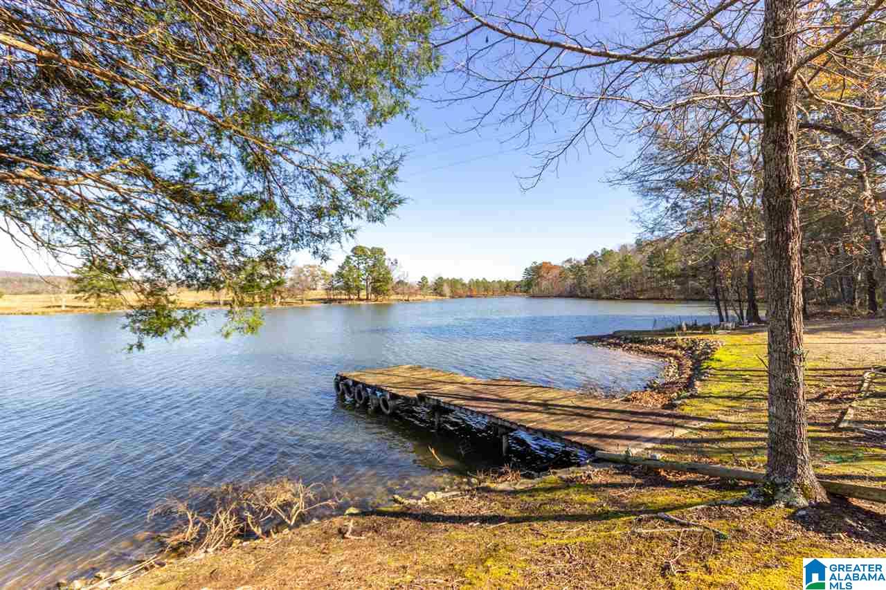 333 Riverview Lane Ohatchee, AL 36271 - Photo 48 of 50