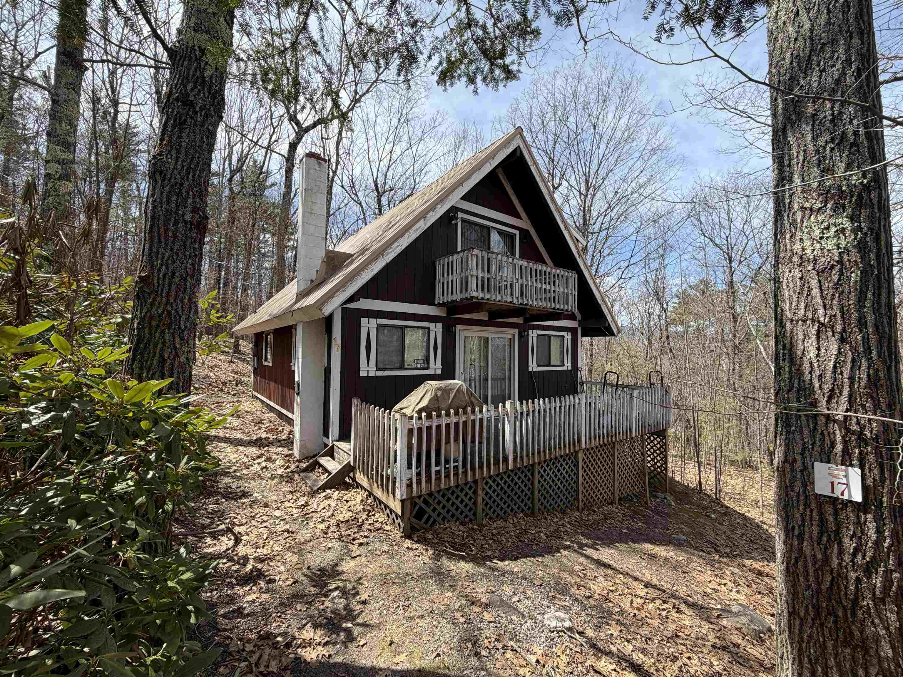 17 Klausen Road Madison, NH 03849 - Photo 3 of 25