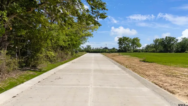 a view of a pathway with a yard