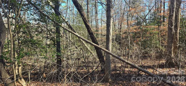 a backyard of a house with lots of trees