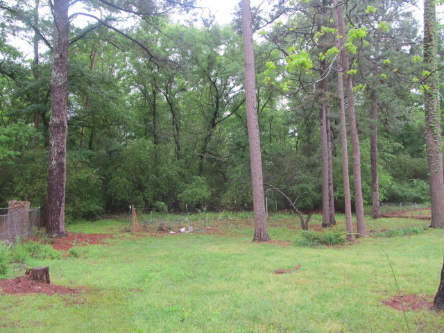 915 McCall Road Macon, GA 31217 - Photo 6 of 7 Additional Photo