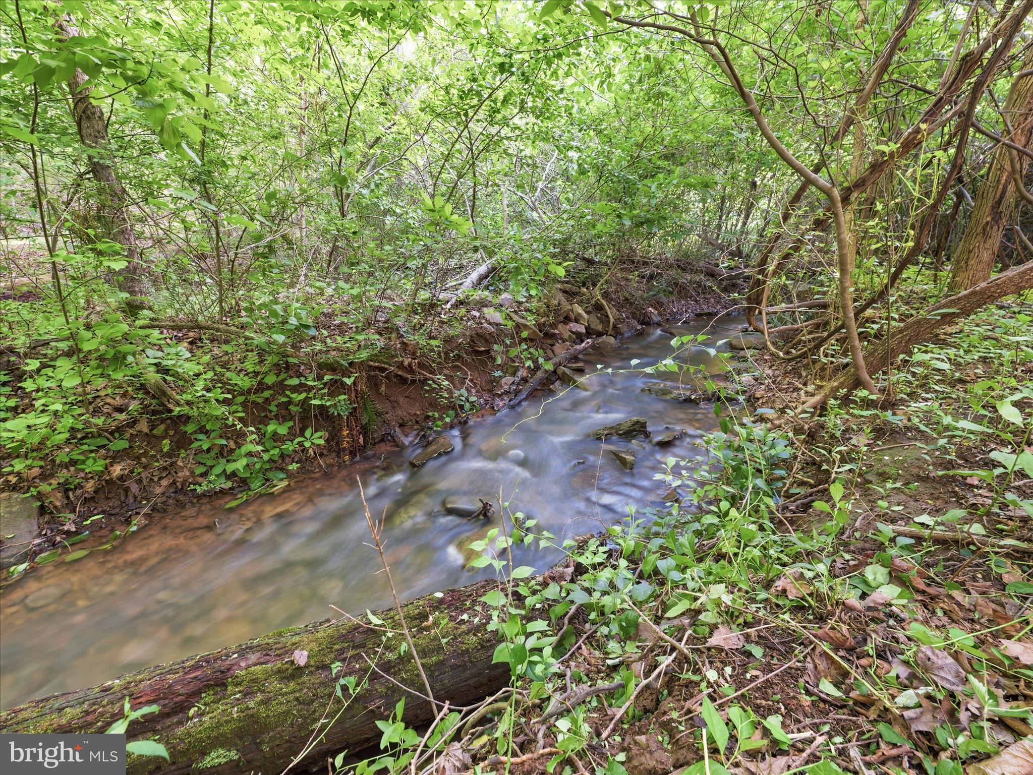 286 Tub Run Hollow Road Hedgesville, WV 25427 - Photo 60 of 72 Year-round running stream!