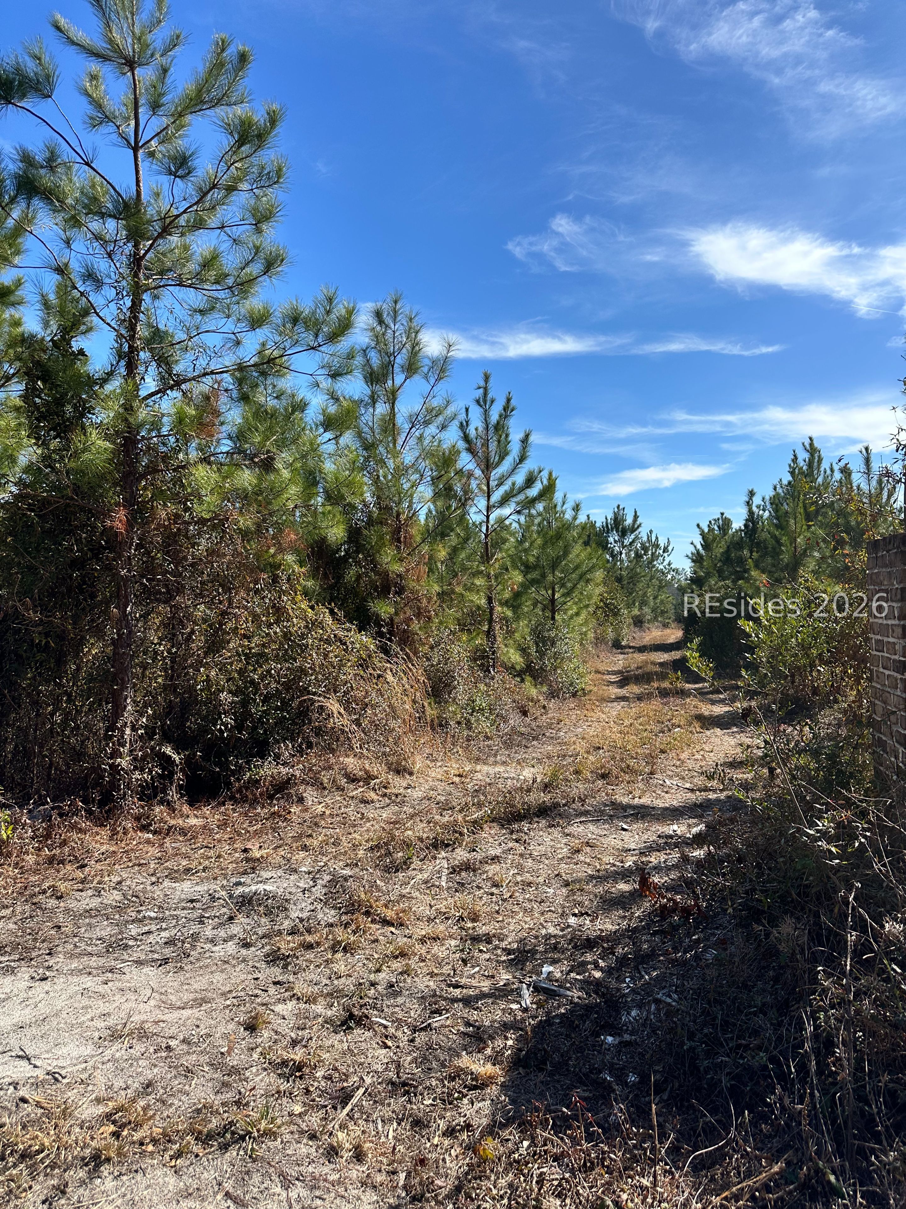 0 Spring Field Plantation Drive Ridgeland, SC 29936 - Photo 12 of 15