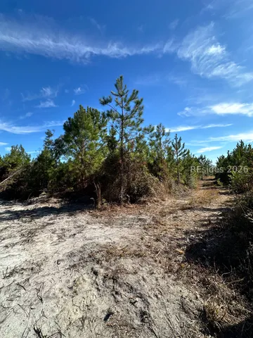 $380,000 | 0 Spring Field Plantation Drive, Ridgeland, SC 29936