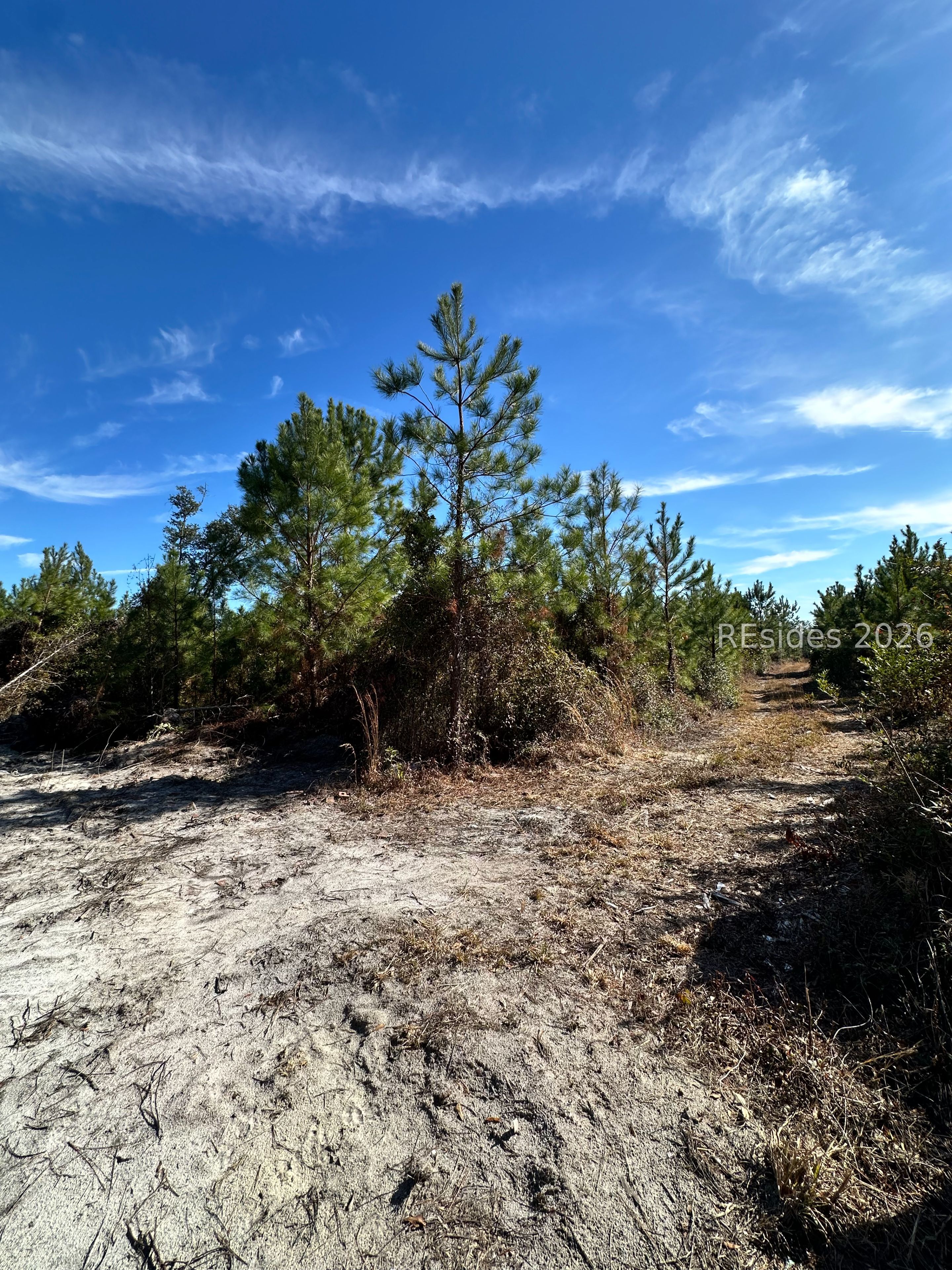 0 Spring Field Plantation Drive Ridgeland, SC 29936 - Photo 13 of 15