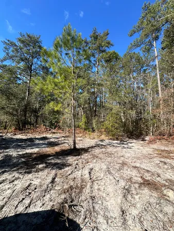 $380,000 | 0 Spring Field Plantation Drive, Ridgeland, SC 29936