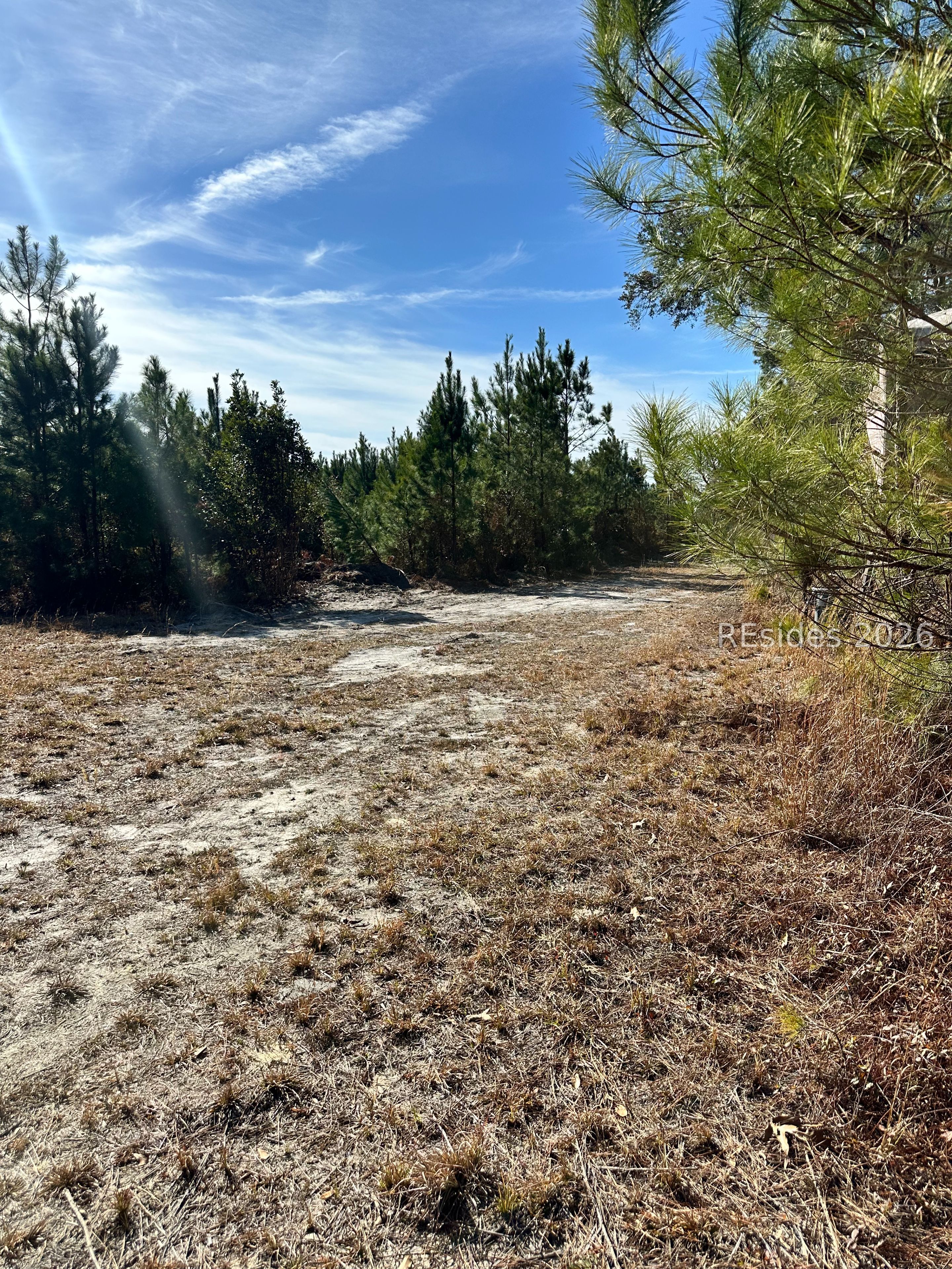 0 Spring Field Plantation Drive Ridgeland, SC 29936 - Photo 6 of 15