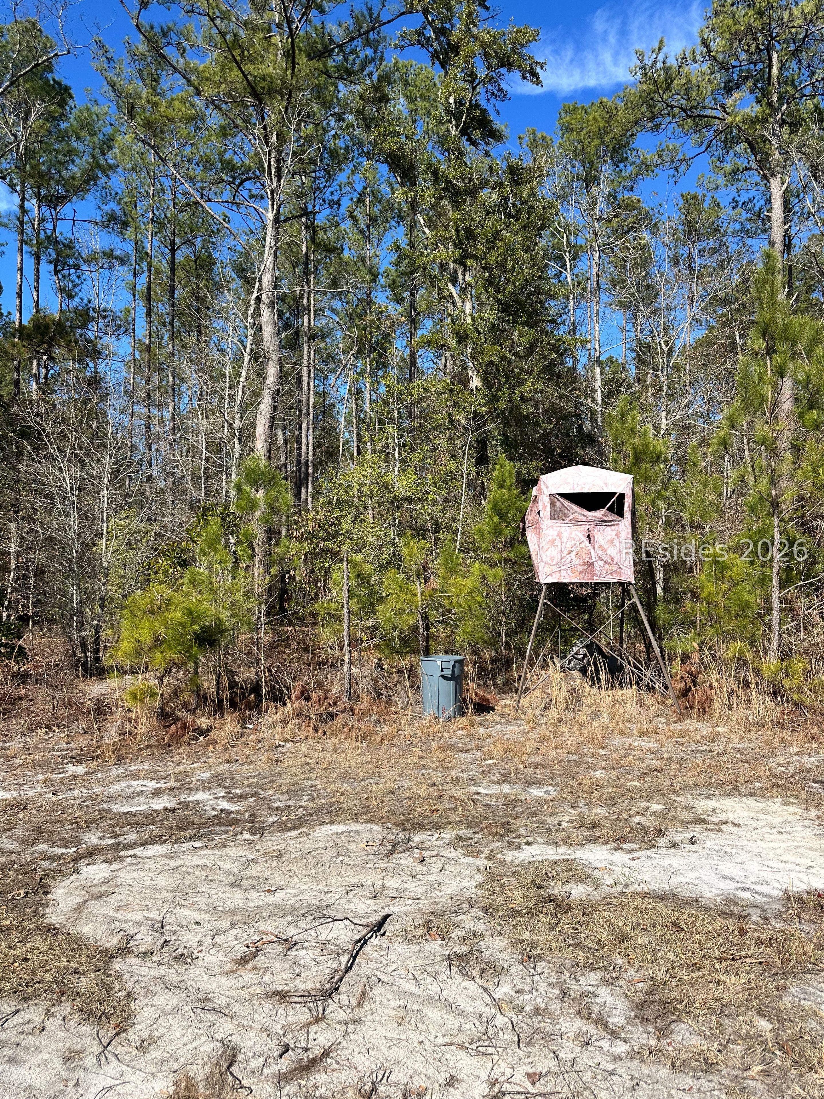 0 Spring Field Plantation Drive Ridgeland, SC 29936 - Photo 7 of 15