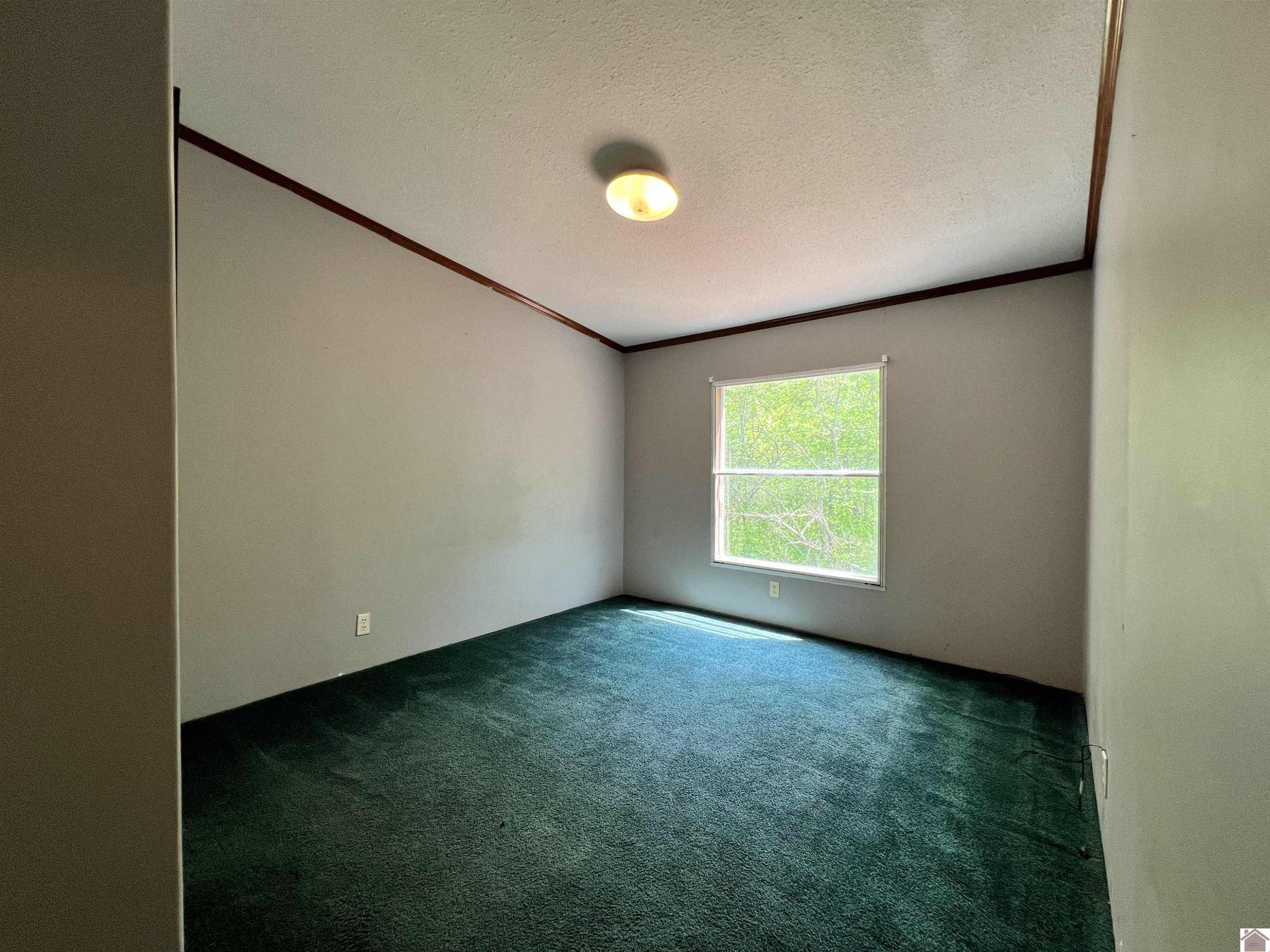 5392 New Providence Road Hazel, KY 42049 - Photo 13 of 28 Bdrm Two