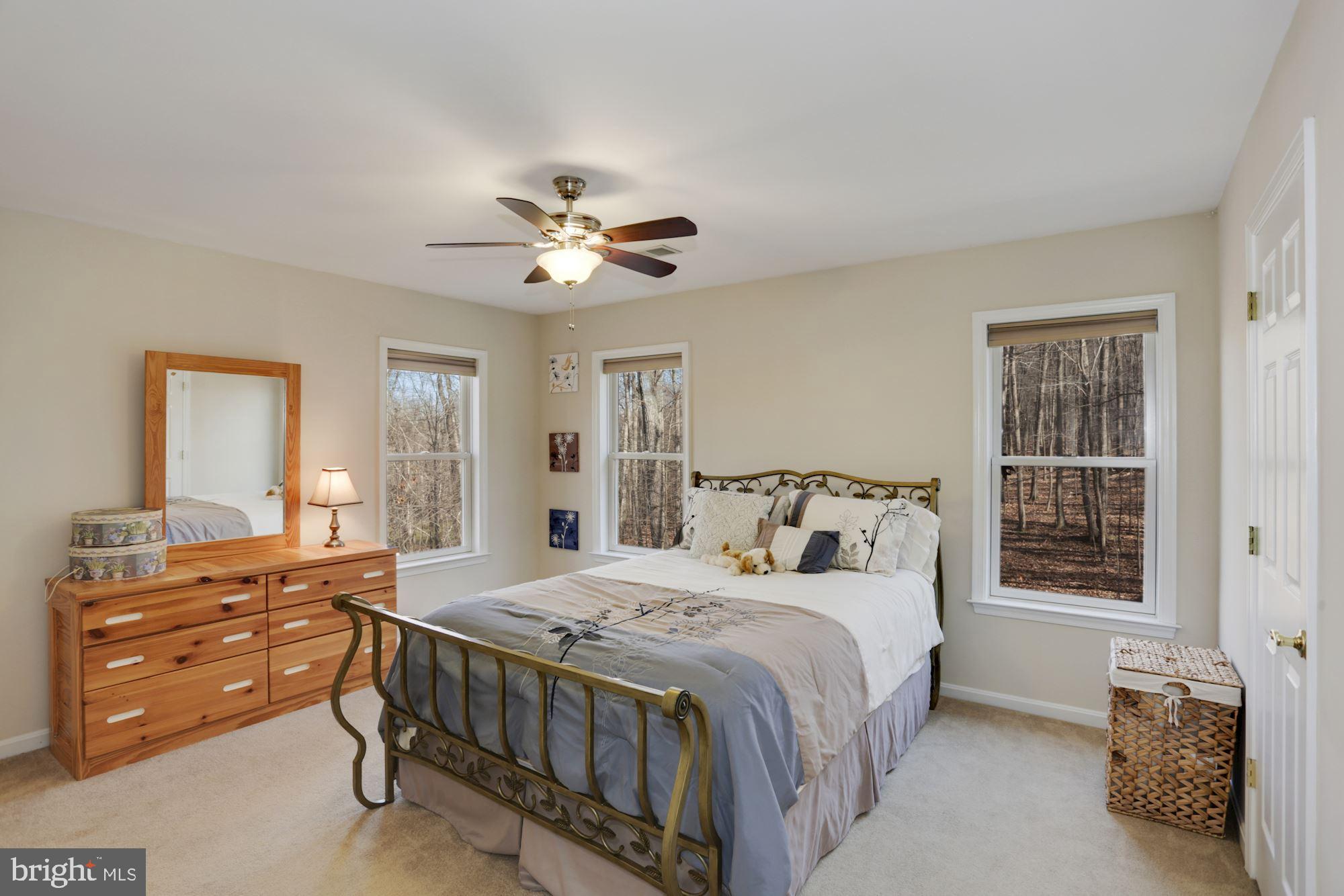 2575 Frogtown Road Bluemont, VA 20135 - Photo 27 of 42 Gallery Image 27