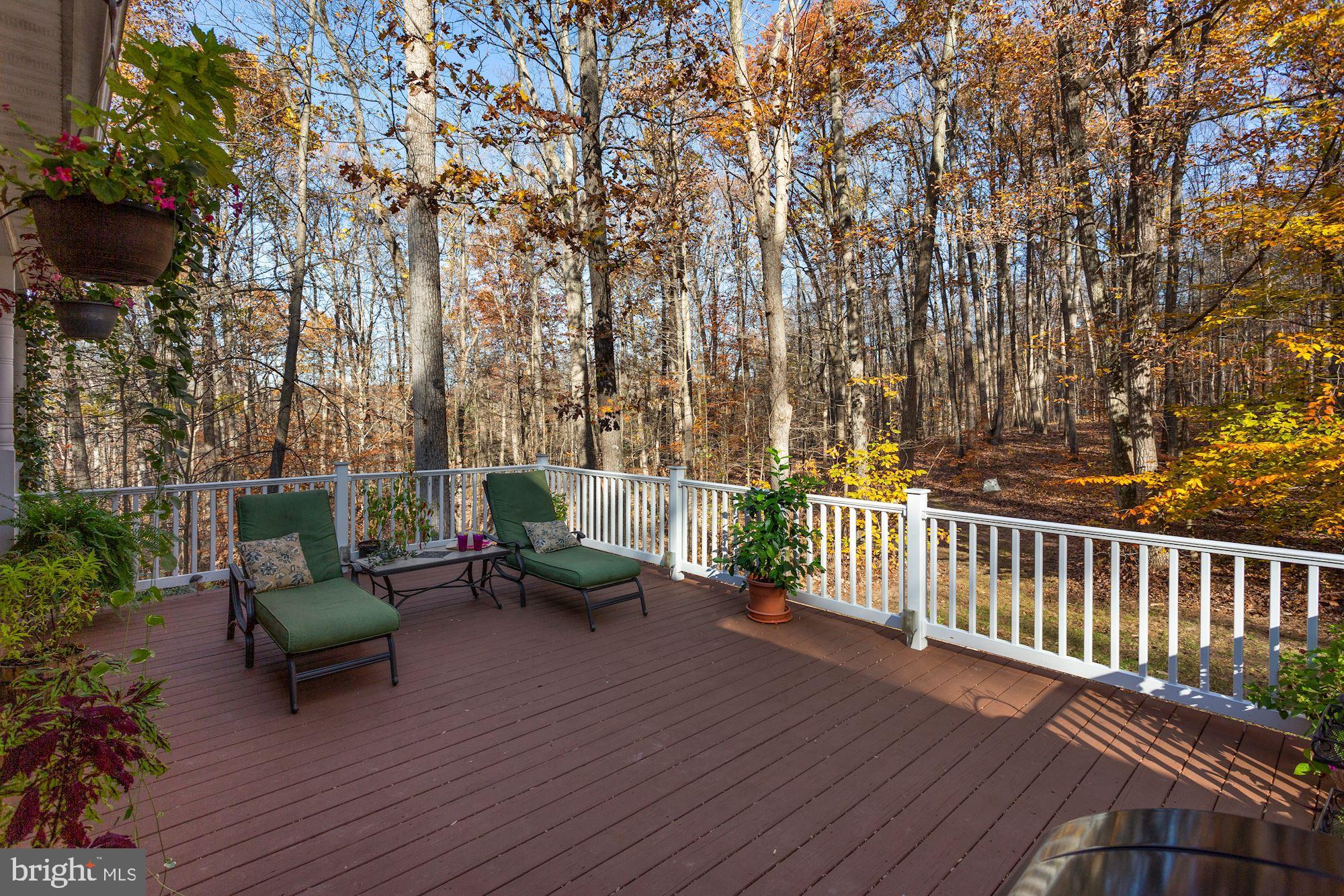 2575 Frogtown Road Bluemont, VA 20135 - Photo 32 of 42 Gallery Image 32