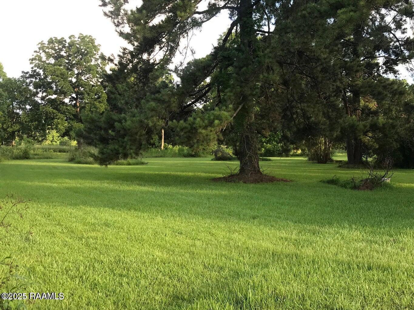 0 Wilson St Julian Road Broussard, LA 70518 - Photo 1 of 6 Wilson St Julian 2