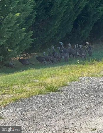 $725,000 | 29 Three Bridge Road, Monroeville, NJ 08343