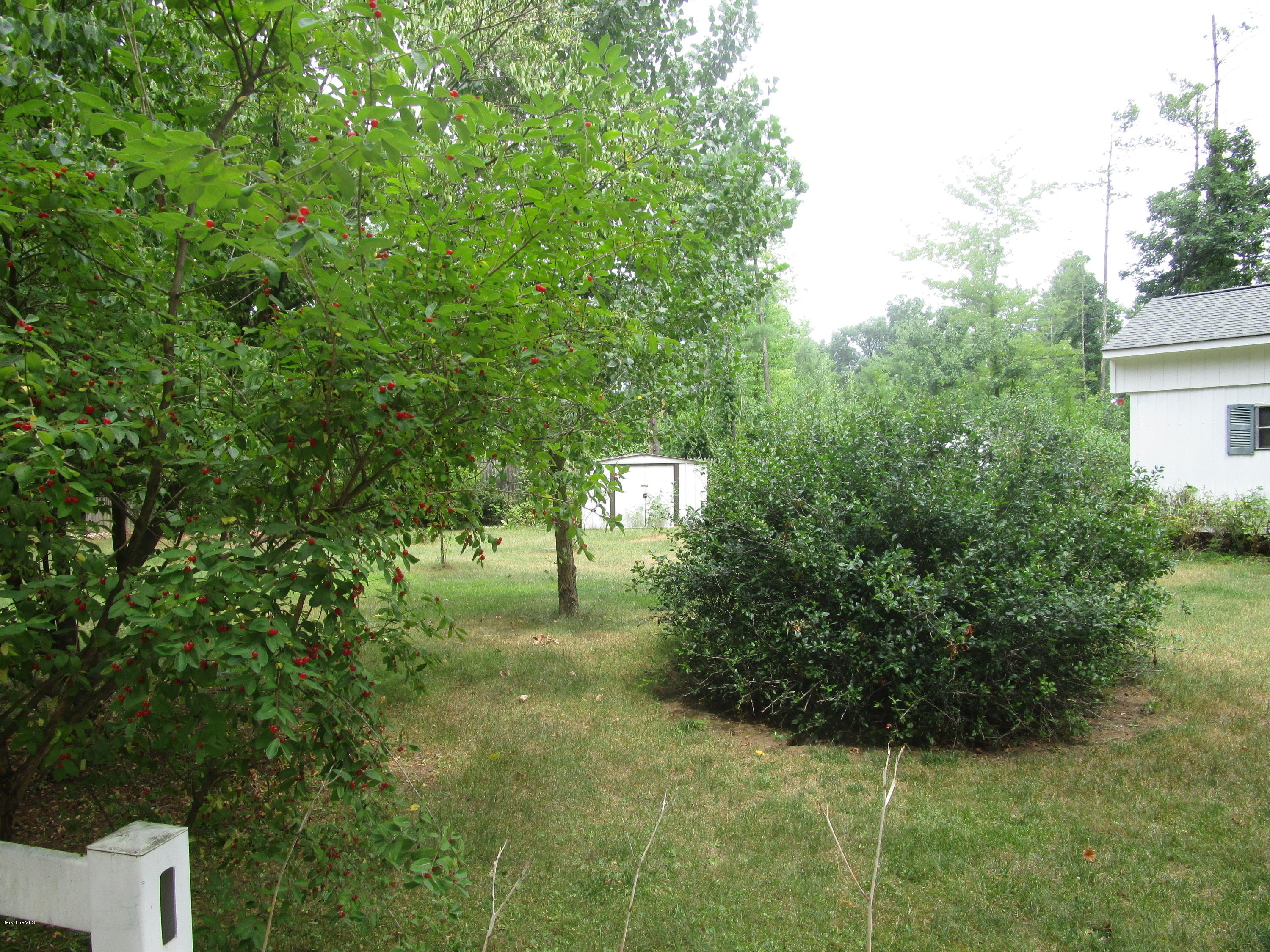 139 E Road Alford, MA 01266 - Photo 23 of 32 Dousemanis land 044
