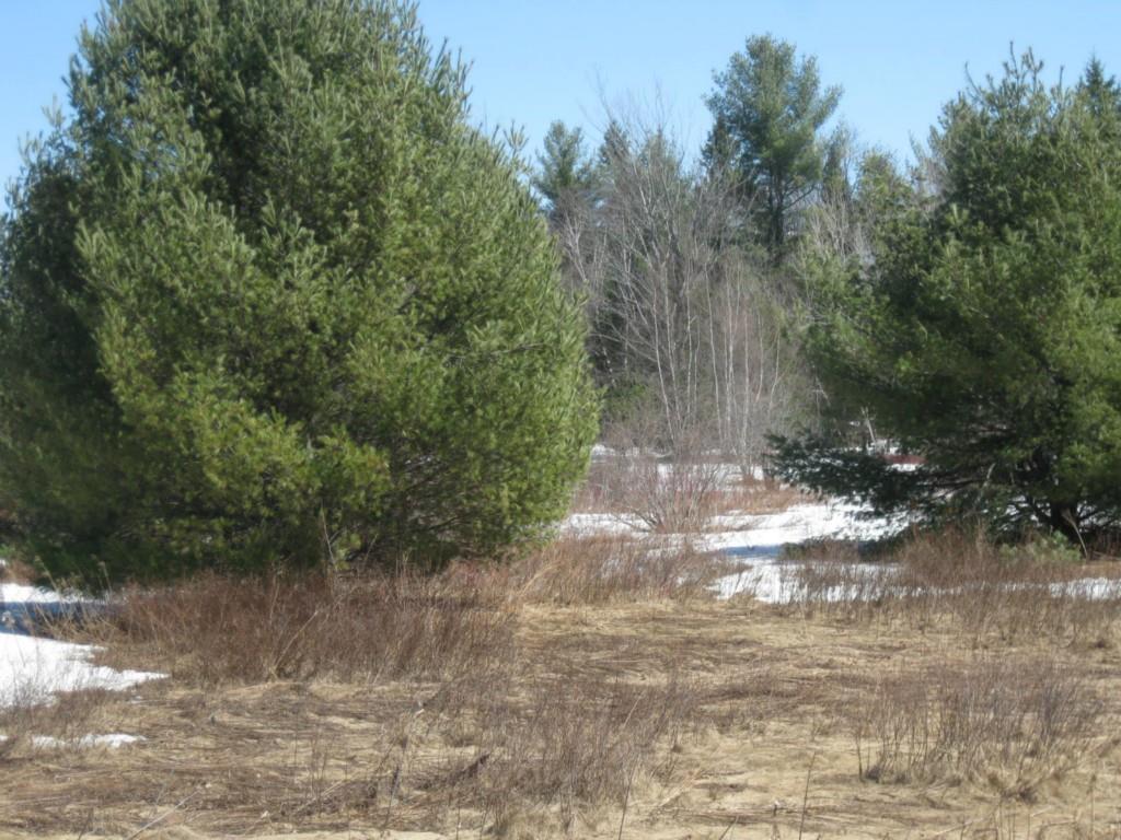 Lot 59 Dixmont Road Etna, ME 04434 - Photo 4 of 5 Photo