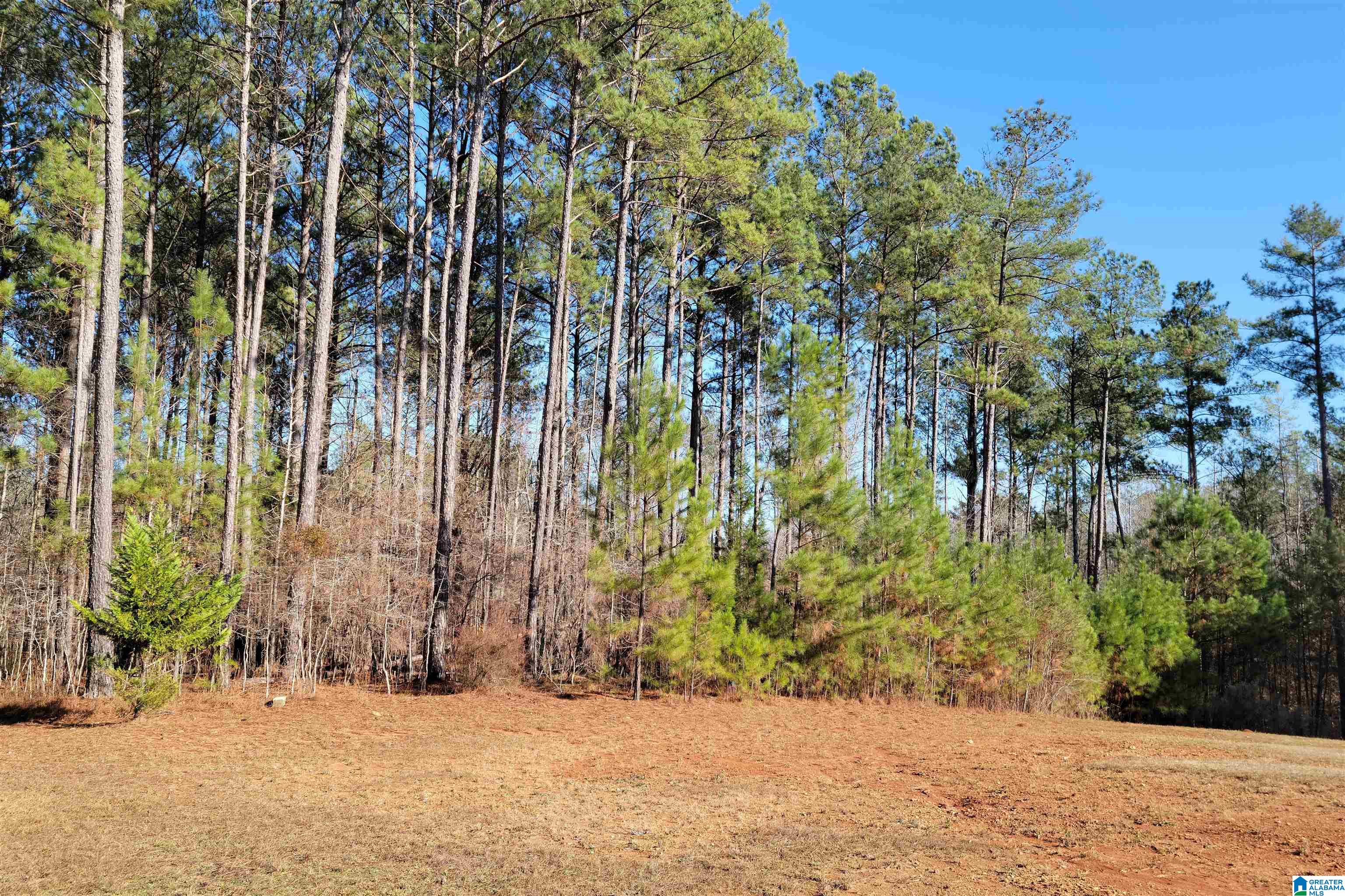 6 County Road, Unit 32 Wedowee, AL 36278 - Photo 2 of 6