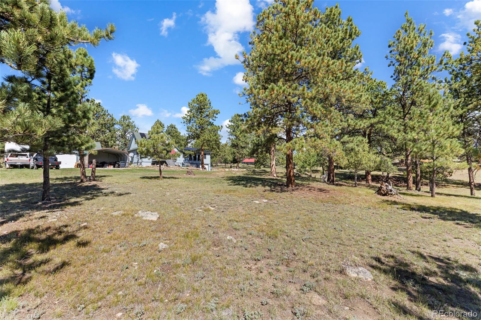 80 Fawn Road Bailey, CO 80421 - Photo 36 of 44 a view of road with trees