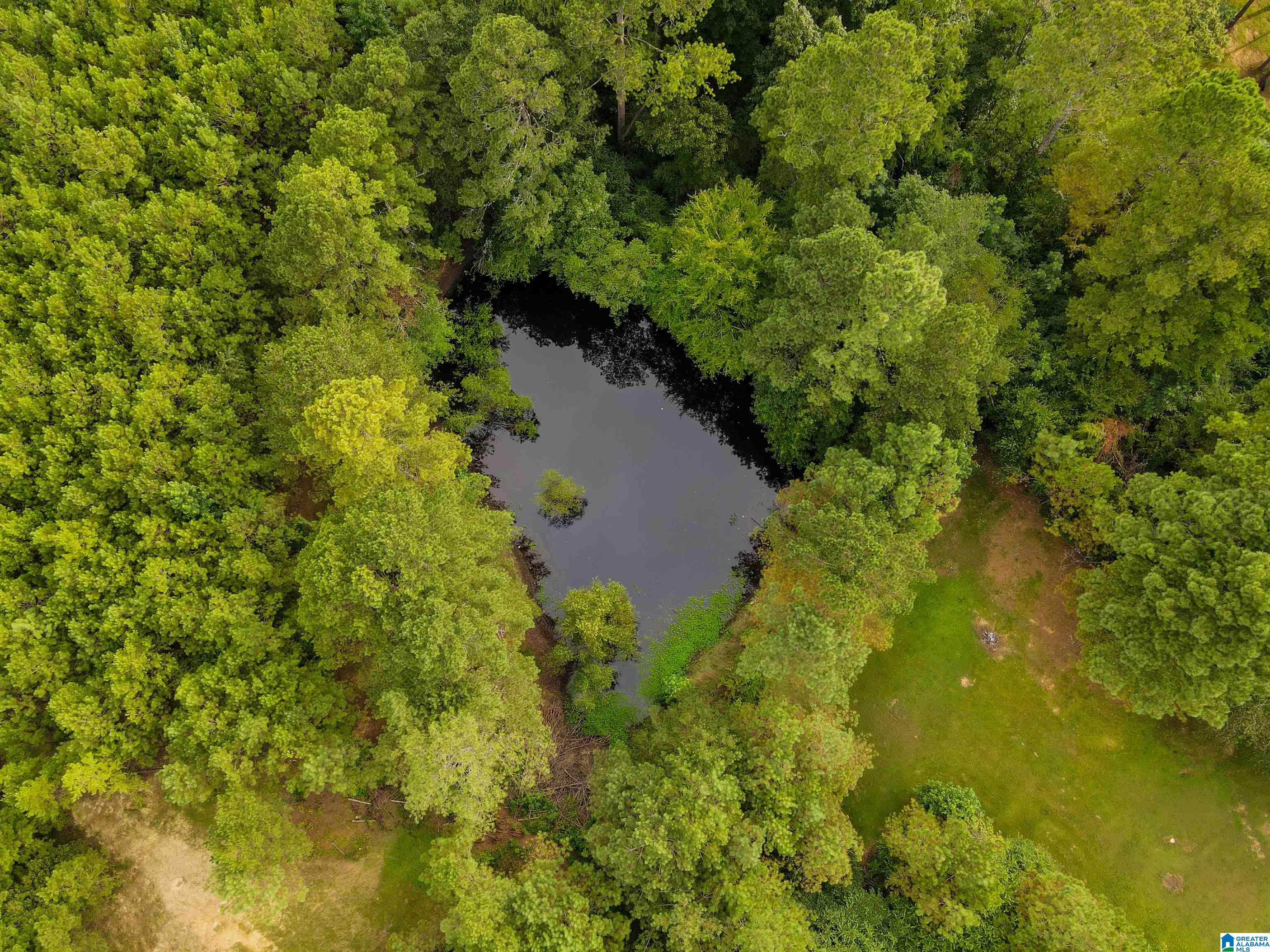 6130 Spunky Hollow Road Locust Fork, AL 35097 - Photo 42 of 45