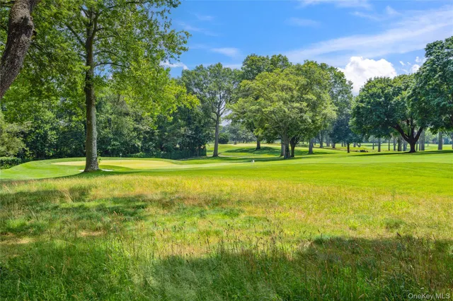 a view of a big yard with a trees