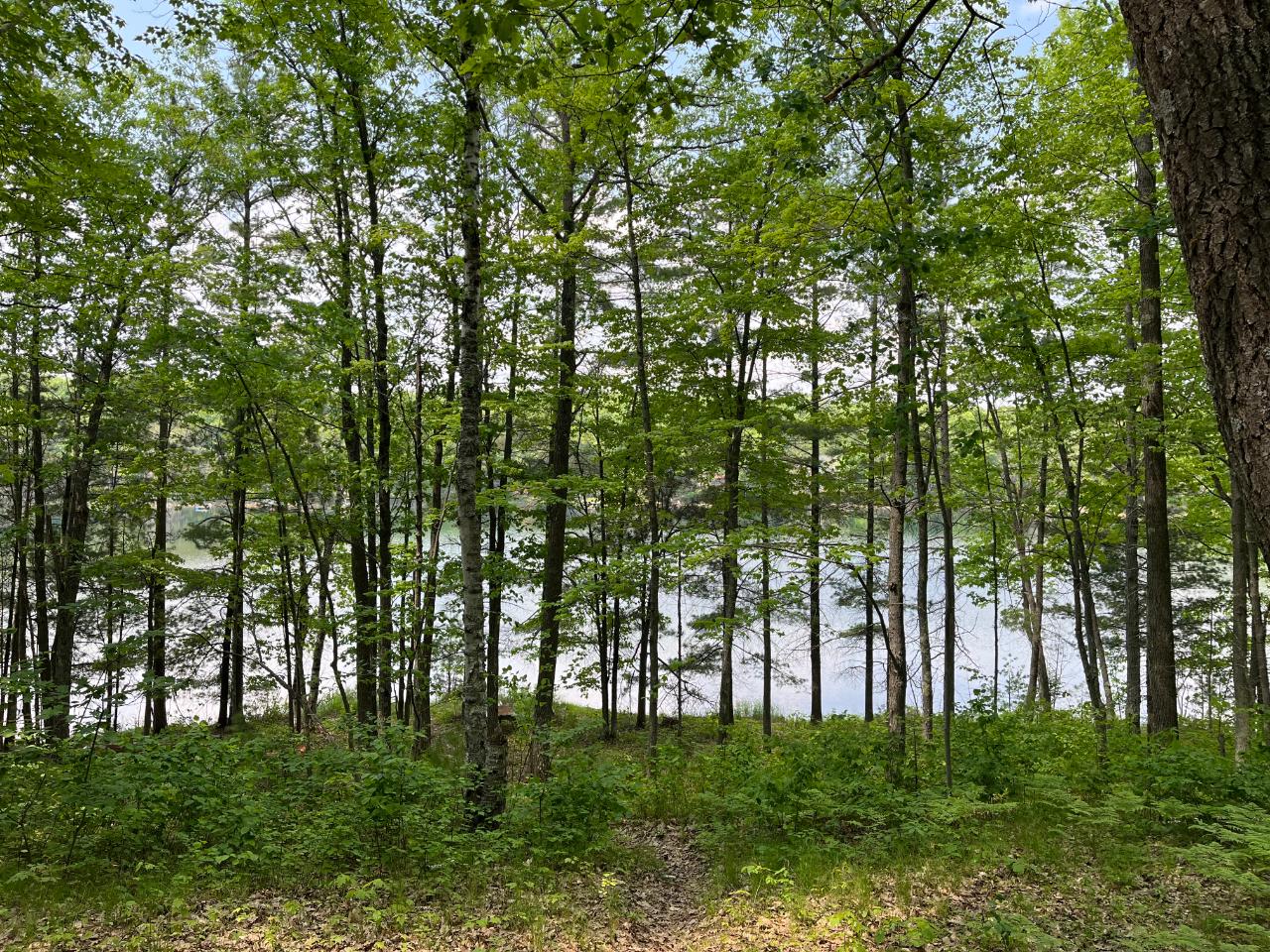 9421 Witches Lake Road Woodruff, WI 54568 - Photo 25 of 26 Gallery Image 25