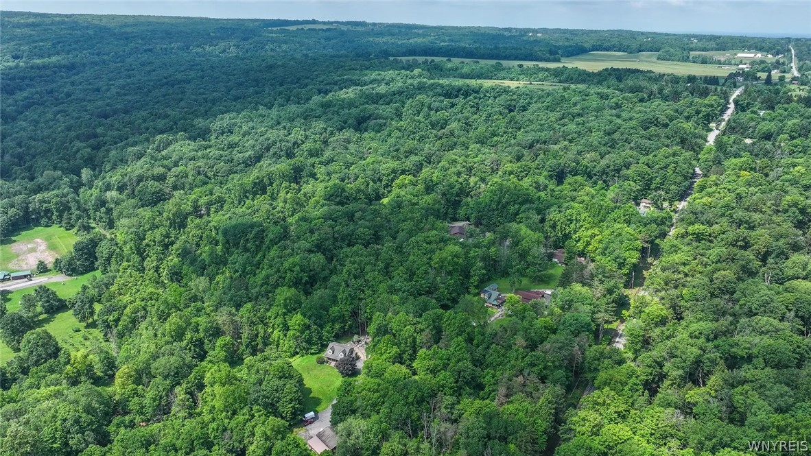 111 Behm Road West Falls, NY 14170 - Photo 7 of 7