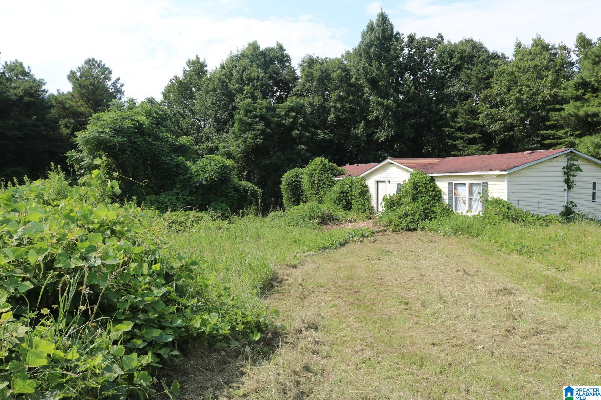 1920 Bruce Shaw Road Adger, AL 35006 - Photo 5 of 15