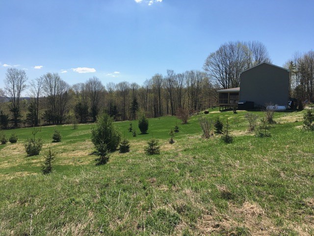 183 Palmer Road Williamstown, VT 05679 - Photo 21 of 33