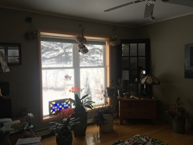 183 Palmer Road Williamstown, VT 05679 - Photo 24 of 33