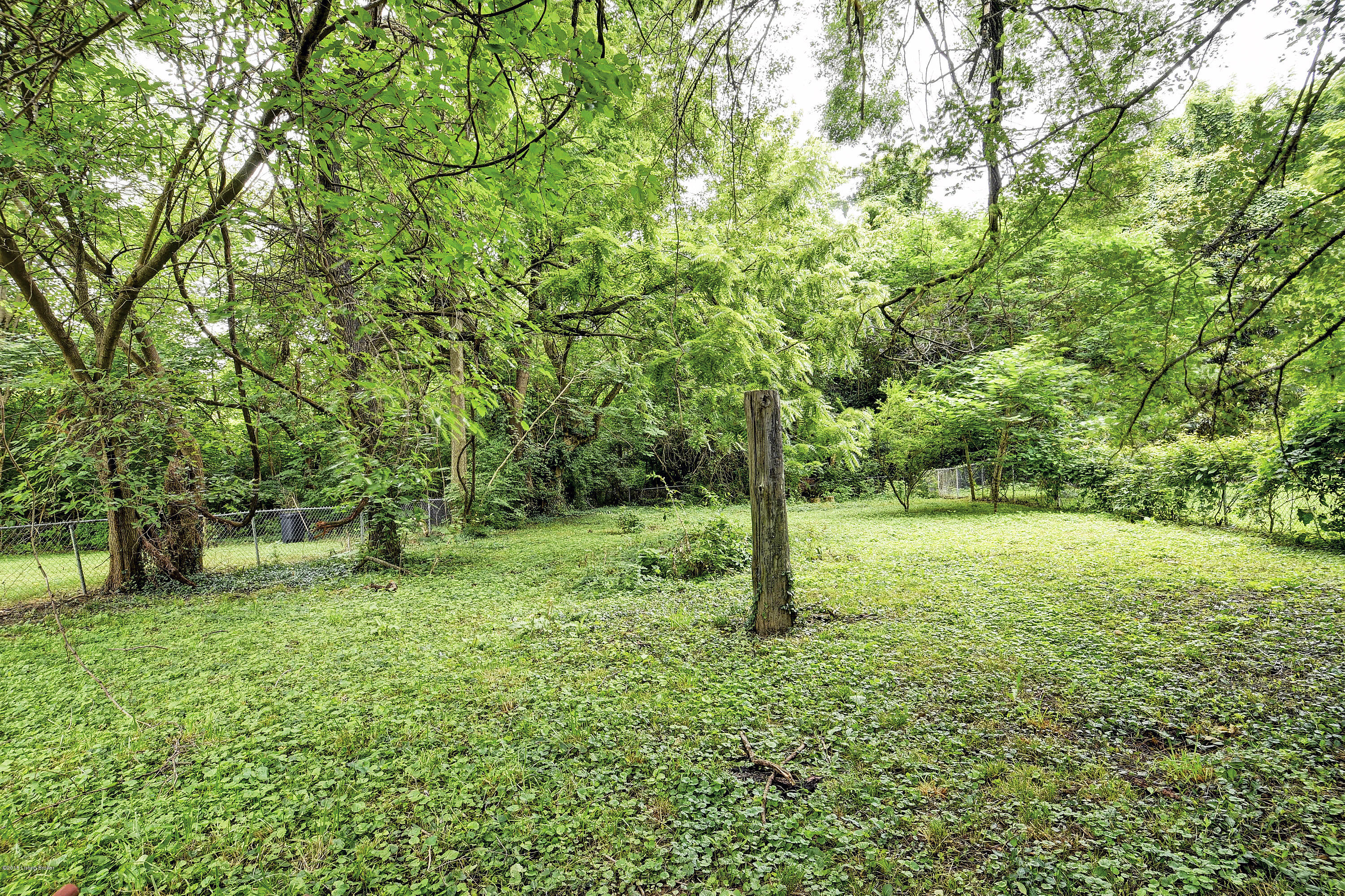 3055 University Road Louisville, KY 40206 - Photo 26 of 30 _DSC1840_1_2