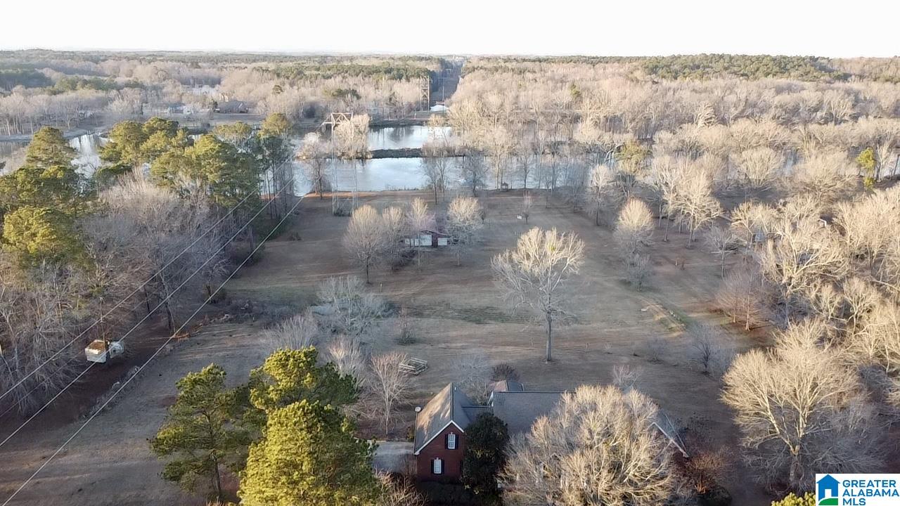 143 River Run Road Childersburg, AL 35044 - Photo 44 of 50