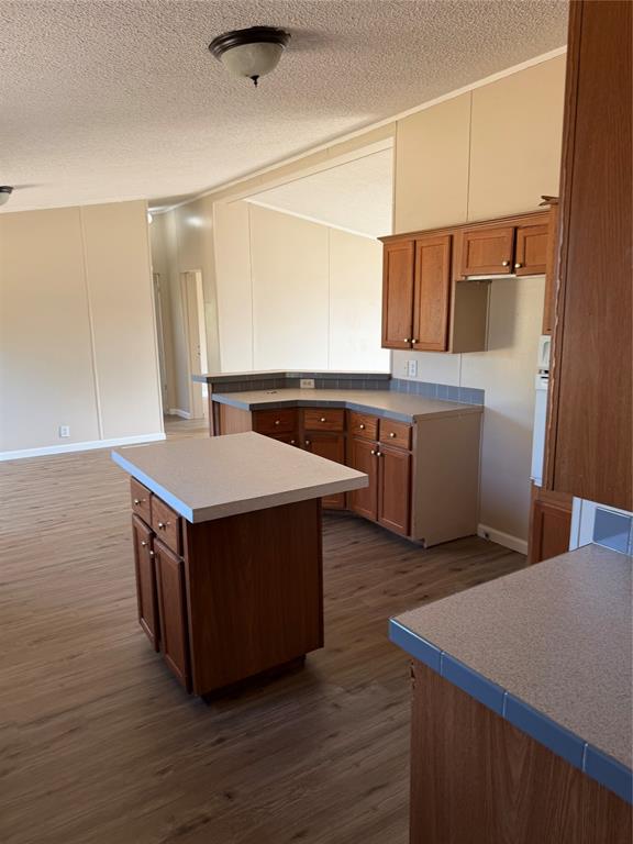 143 Summit Ridge Lane Springtown, TX 76082 - Photo 10 of 19 Kitchen featuring wood-finish cabinetry, light-toned countertops, and wood-finish flooring