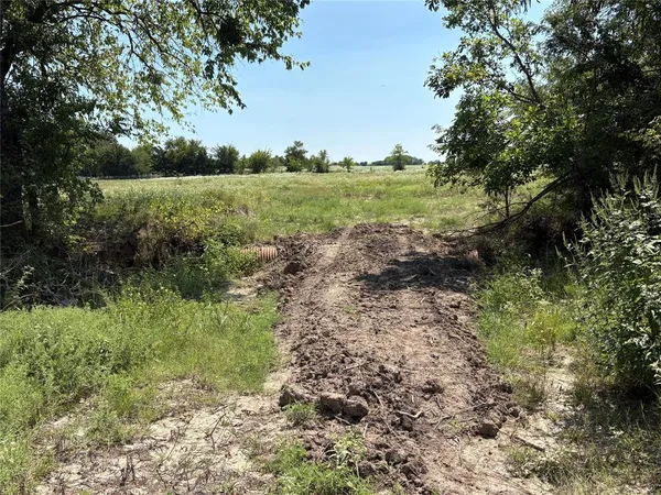 a big yard with lots of green space and deers