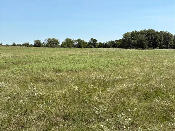 a view of a field with an trees in the background