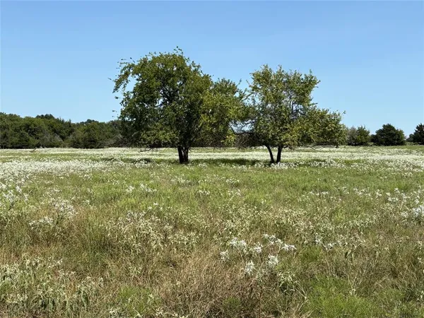 a view of an outdoor space and yard