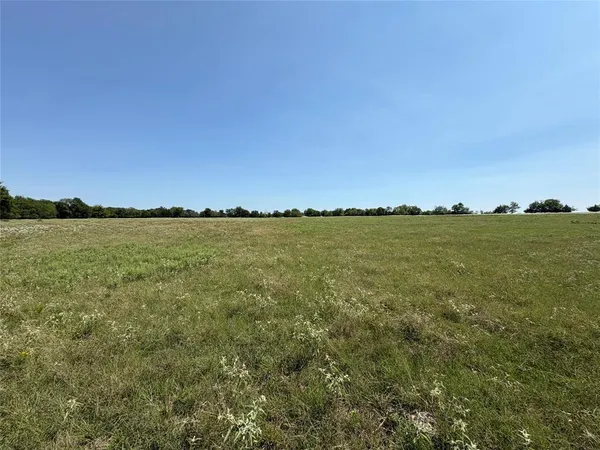 a view of a large body of water with a large tree