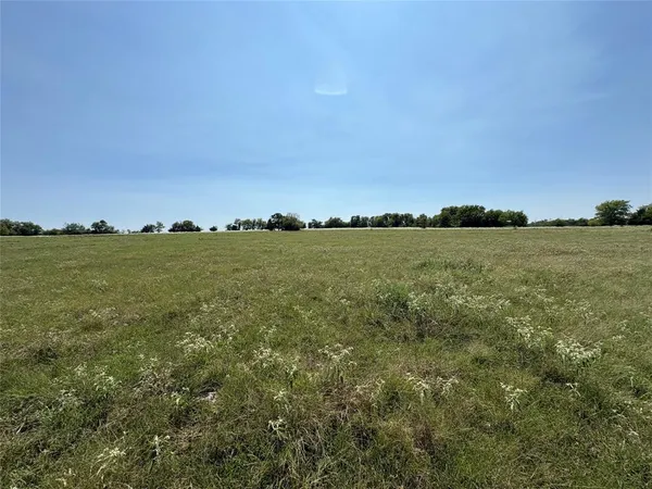 a view of a big yard with plants and large trees