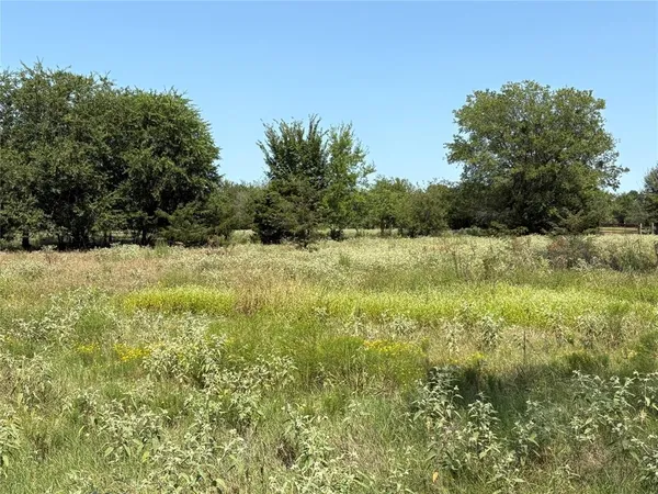 a view of wall with green field
