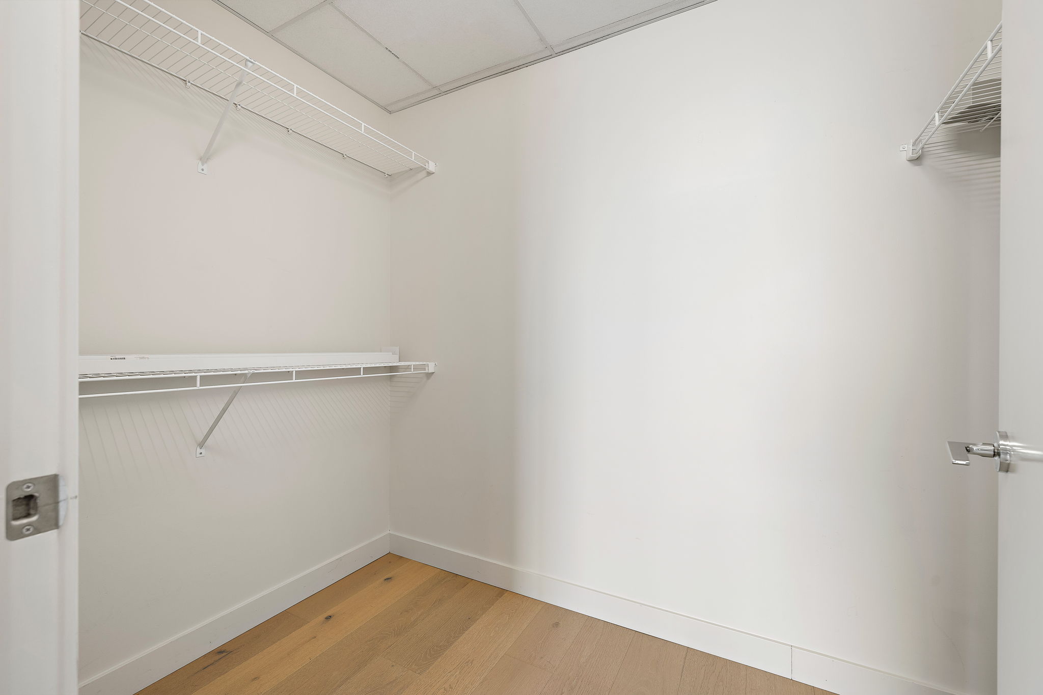 44 East Avenue, Unit 1210 Austin, TX 78701 - Photo 14 of 40 Walk in closet with light wood-style flooring and a drop ceiling
