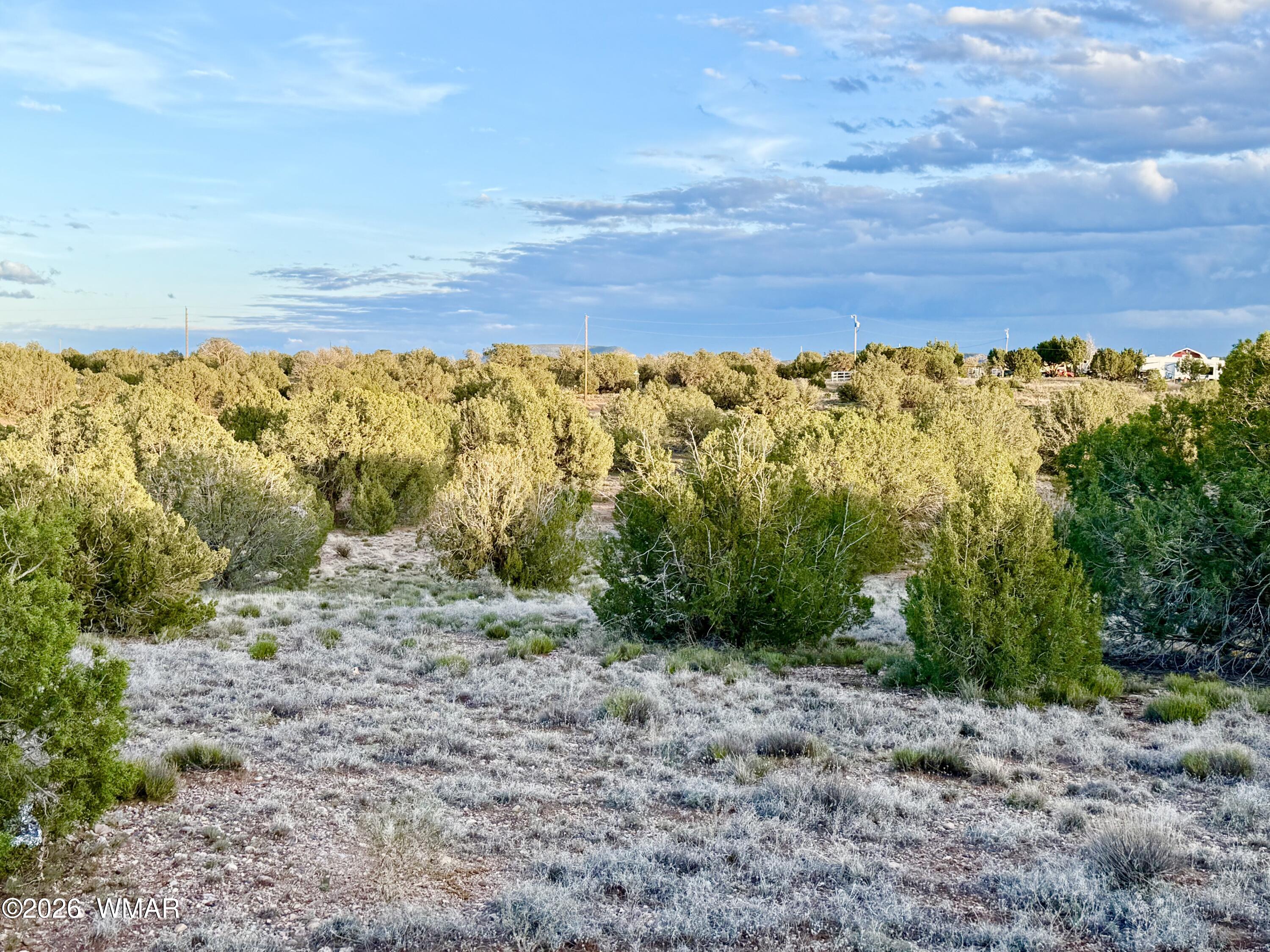 4428 Colt Road Snowflake, AZ 85937 - Photo 20 of 22 IMG_6157